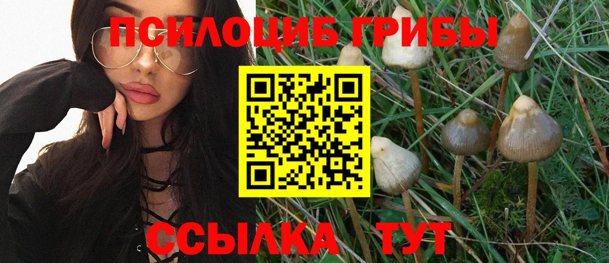 Галлюциногенные грибы прущие грибы Каменск-Уральский